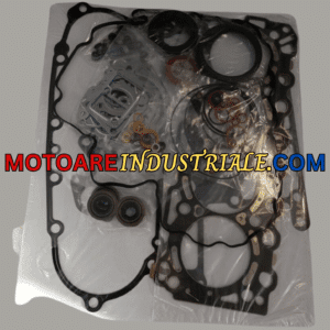 Set garnituri motor Kubota V3307