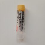 Duza Injector DLLA160PN146 – Piesă Originală pentru Motoare Diesel Moderne