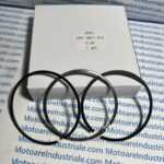 Segmenti Kubota D902 +0.50 – Set Premium Rectificare | Livrare Rapidă România